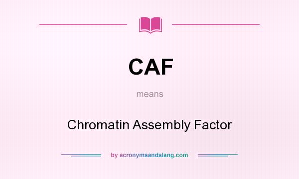 What does CAF mean? It stands for Chromatin Assembly Factor