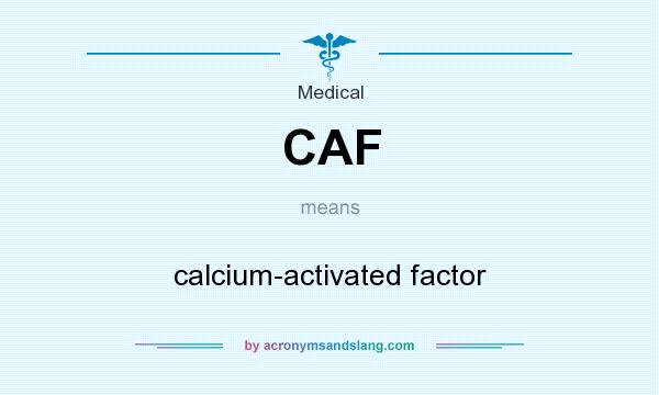 What does CAF mean? It stands for calcium-activated factor