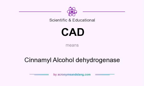 What does CAD mean? It stands for Cinnamyl Alcohol dehydrogenase