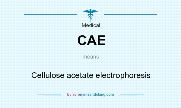 What does CAE mean? It stands for Cellulose acetate electrophoresis