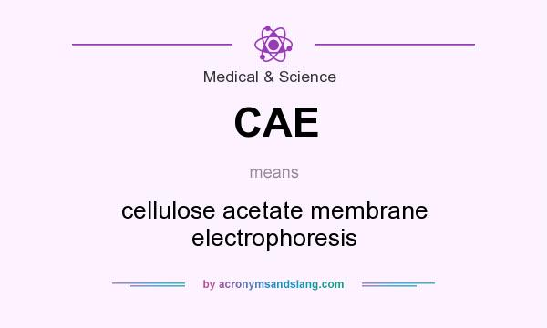 What does CAE mean? It stands for cellulose acetate membrane electrophoresis