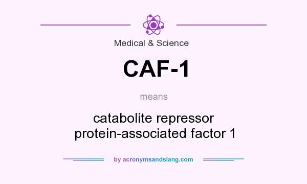 What does CAF-1 mean? It stands for catabolite repressor protein-associated factor 1