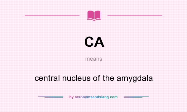 What does CA mean? It stands for central nucleus of the amygdala
