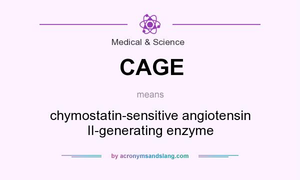 What does CAGE mean? It stands for chymostatin-sensitive angiotensin II-generating enzyme