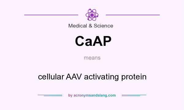What does CaAP mean? It stands for cellular AAV activating protein