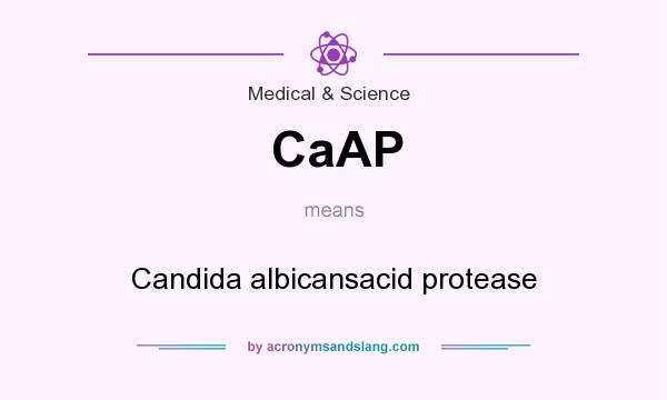 What does CaAP mean? It stands for Candida albicansacid protease