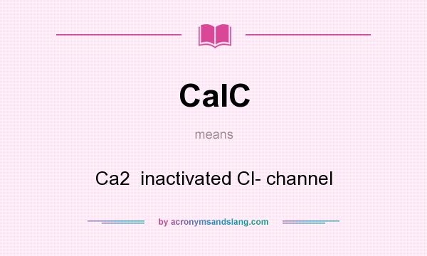 What does CaIC mean? It stands for Ca2  inactivated Cl- channel