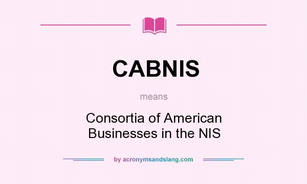 What does CABNIS mean? It stands for Consortia of American Businesses in the NIS