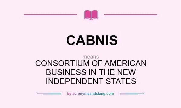 What does CABNIS mean? It stands for CONSORTIUM OF AMERICAN BUSINESS IN THE NEW INDEPENDENT STATES