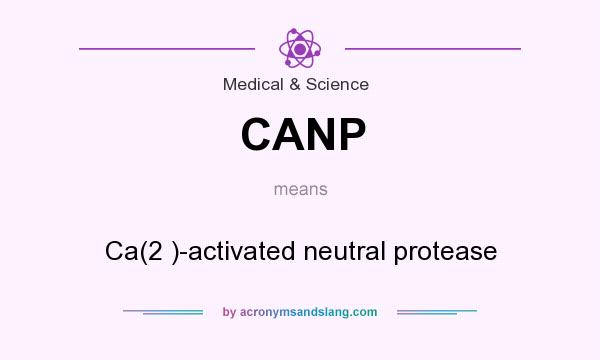 What does CANP mean? It stands for Ca(2 )-activated neutral protease