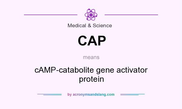 What does CAP mean? It stands for cAMP-catabolite gene activator protein