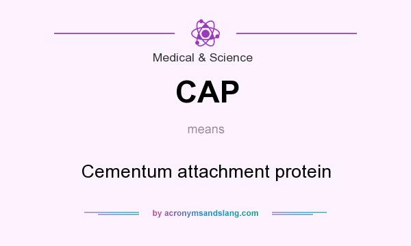 What does CAP mean? It stands for Cementum attachment protein