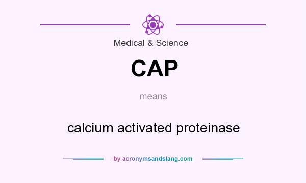 What does CAP mean? It stands for calcium activated proteinase