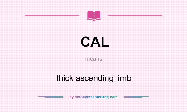 What does CAL mean? It stands for thick ascending limb