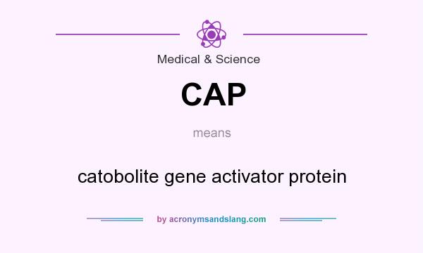 What does CAP mean? It stands for catobolite gene activator protein