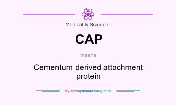What does CAP mean? It stands for Cementum-derived attachment protein