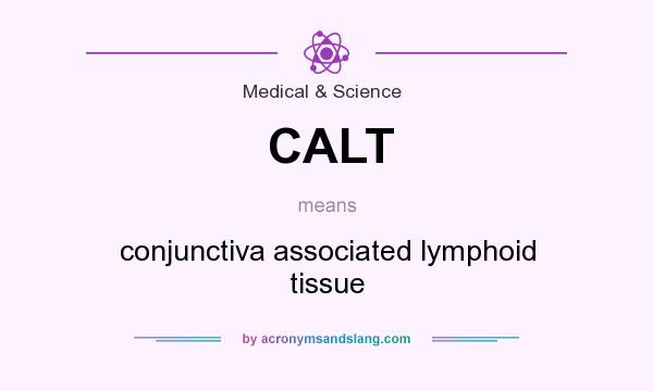 What does CALT mean? It stands for conjunctiva associated lymphoid tissue