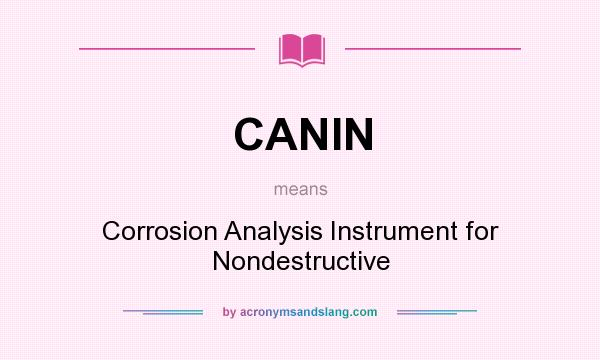 What does CANIN mean? It stands for Corrosion Analysis Instrument for Nondestructive