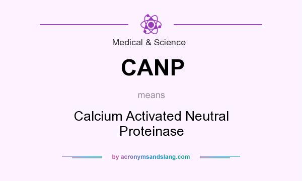 What does CANP mean? It stands for Calcium Activated Neutral Proteinase