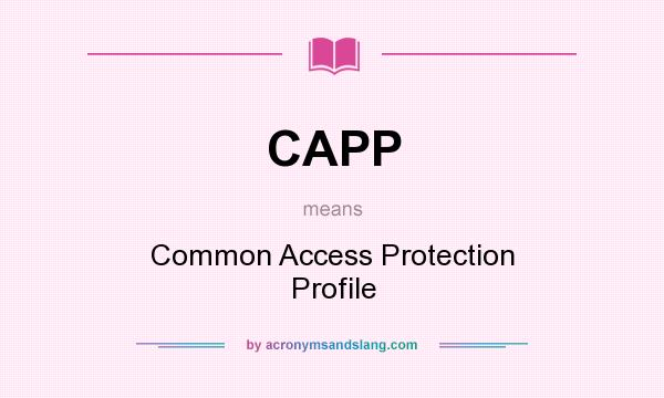 What does CAPP mean? It stands for Common Access Protection Profile