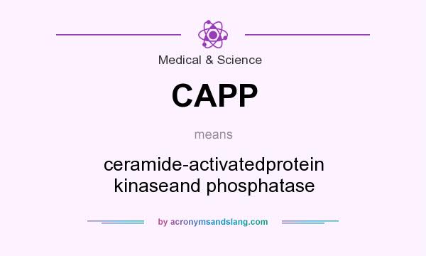 What does CAPP mean? It stands for ceramide-activatedprotein kinaseand phosphatase