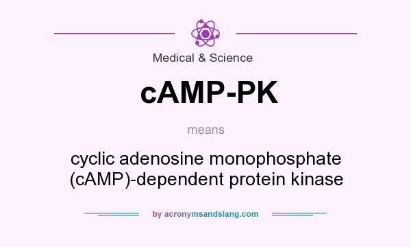 What does cAMP-PK mean? It stands for cyclic adenosine monophosphate (cAMP)-dependent protein kinase