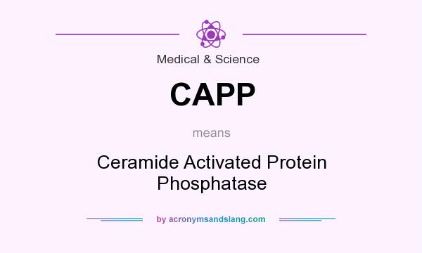 What does CAPP mean? It stands for Ceramide Activated Protein Phosphatase
