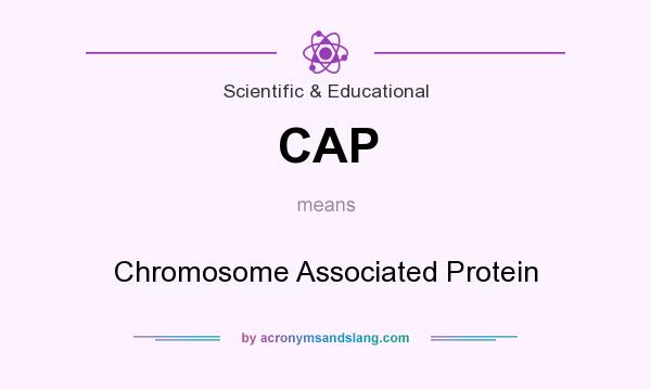 What does CAP mean? It stands for Chromosome Associated Protein