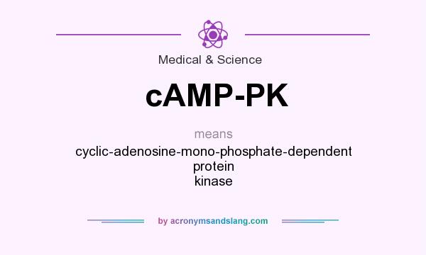 What does cAMP-PK mean? It stands for cyclic-adenosine-mono-phosphate-dependent protein kinase