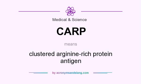 What does CARP mean? It stands for clustered arginine-rich protein antigen