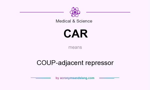 What does CAR mean? It stands for COUP-adjacent repressor