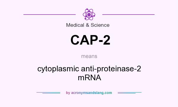 What does CAP-2 mean? It stands for cytoplasmic anti-proteinase-2 mRNA