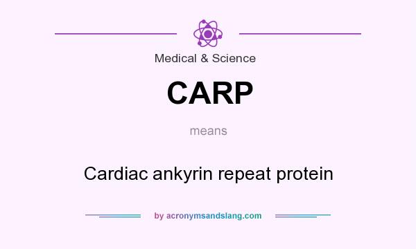 What does CARP mean? It stands for Cardiac ankyrin repeat protein