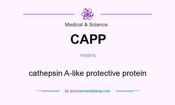 What does CAPP mean? It stands for cathepsin A-like protective protein