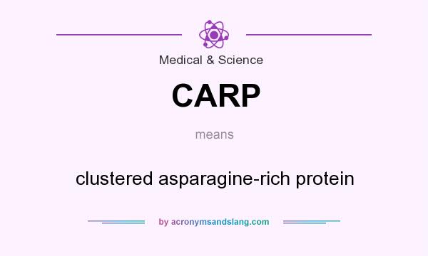 What does CARP mean? It stands for clustered asparagine-rich protein