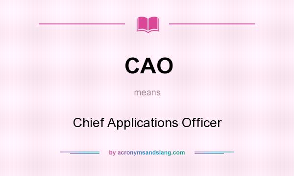 What does CAO mean? It stands for Chief Applications Officer