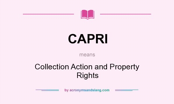 What does CAPRI mean? It stands for Collection Action and Property Rights