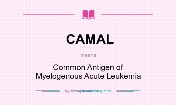 What does CAMAL mean? It stands for Common Antigen of Myelogenous Acute Leukemia