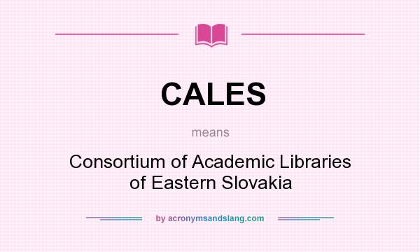 What does CALES mean? It stands for Consortium of Academic Libraries of Eastern Slovakia