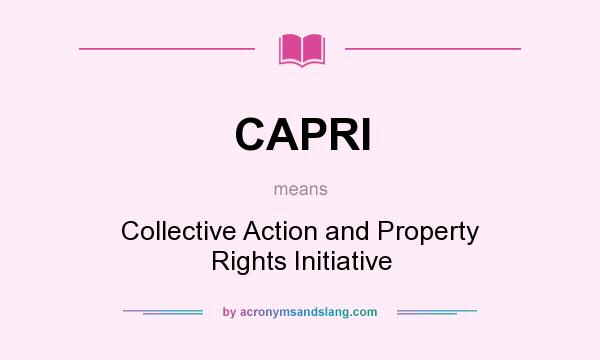 What does CAPRI mean? It stands for Collective Action and Property Rights Initiative