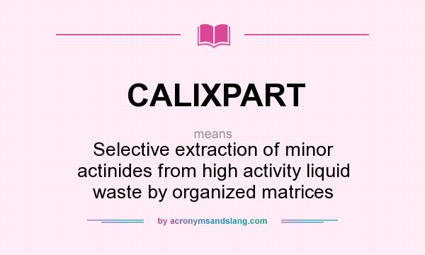 What does CALIXPART mean? It stands for Selective extraction of minor actinides from high activity liquid waste by organized matrices