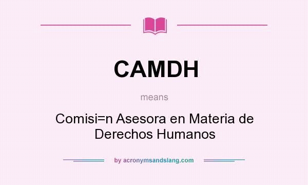 What does CAMDH mean? It stands for Comisi=n Asesora en Materia de Derechos Humanos