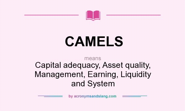 What does CAMELS mean? It stands for Capital adequacy, Asset quality, Management, Earning, Liquidity and System