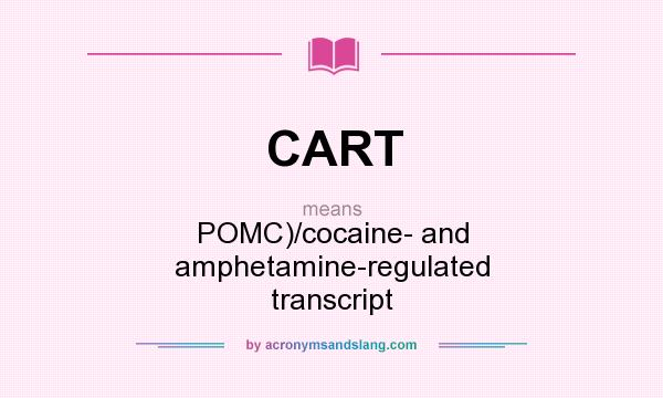 What does CART mean? It stands for POMC)/cocaine- and amphetamine-regulated transcript