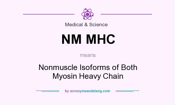 What does NM MHC mean? It stands for Nonmuscle Isoforms of Both Myosin Heavy Chain