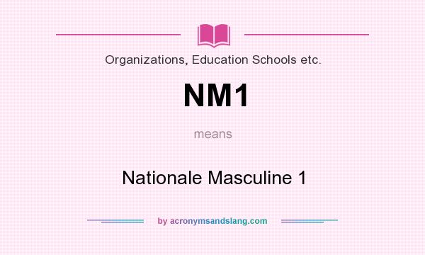 What does NM1 mean? It stands for Nationale Masculine 1