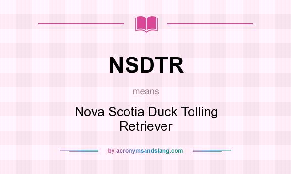 What does NSDTR mean? It stands for Nova Scotia Duck Tolling Retriever