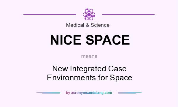 What does NICE SPACE mean? It stands for New Integrated Case Environments for Space