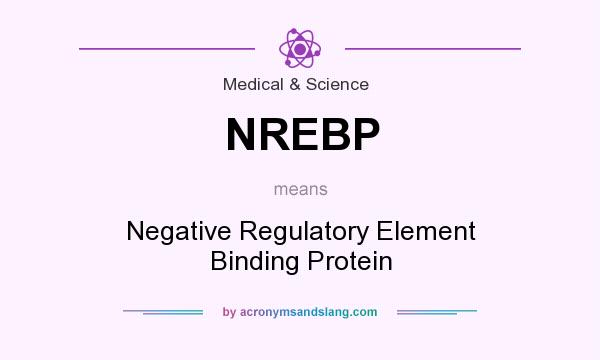 What does NREBP mean? It stands for Negative Regulatory Element Binding Protein