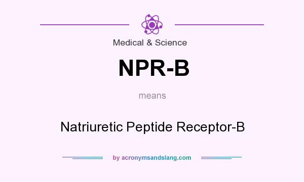 What does NPR-B mean? It stands for Natriuretic Peptide Receptor-B